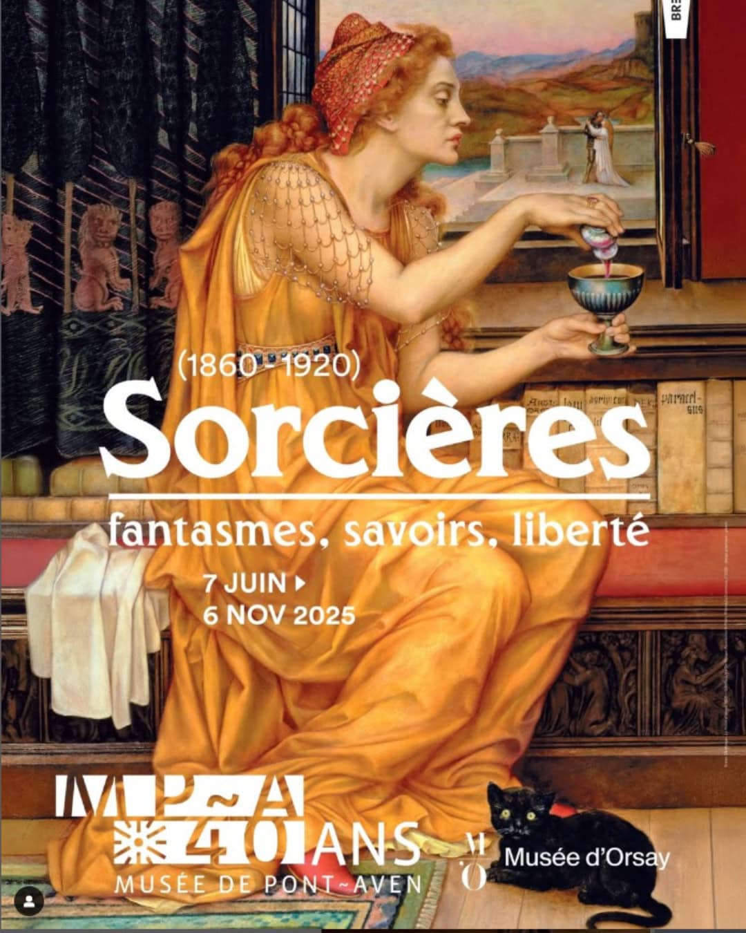 Affiche Sorcieres